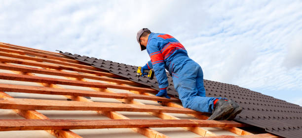 Best Roof Ventilation Installation  in Eagle Butte, SD