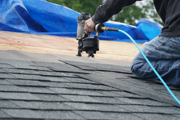 Best Roof Installation  in Eagle Butte, SD